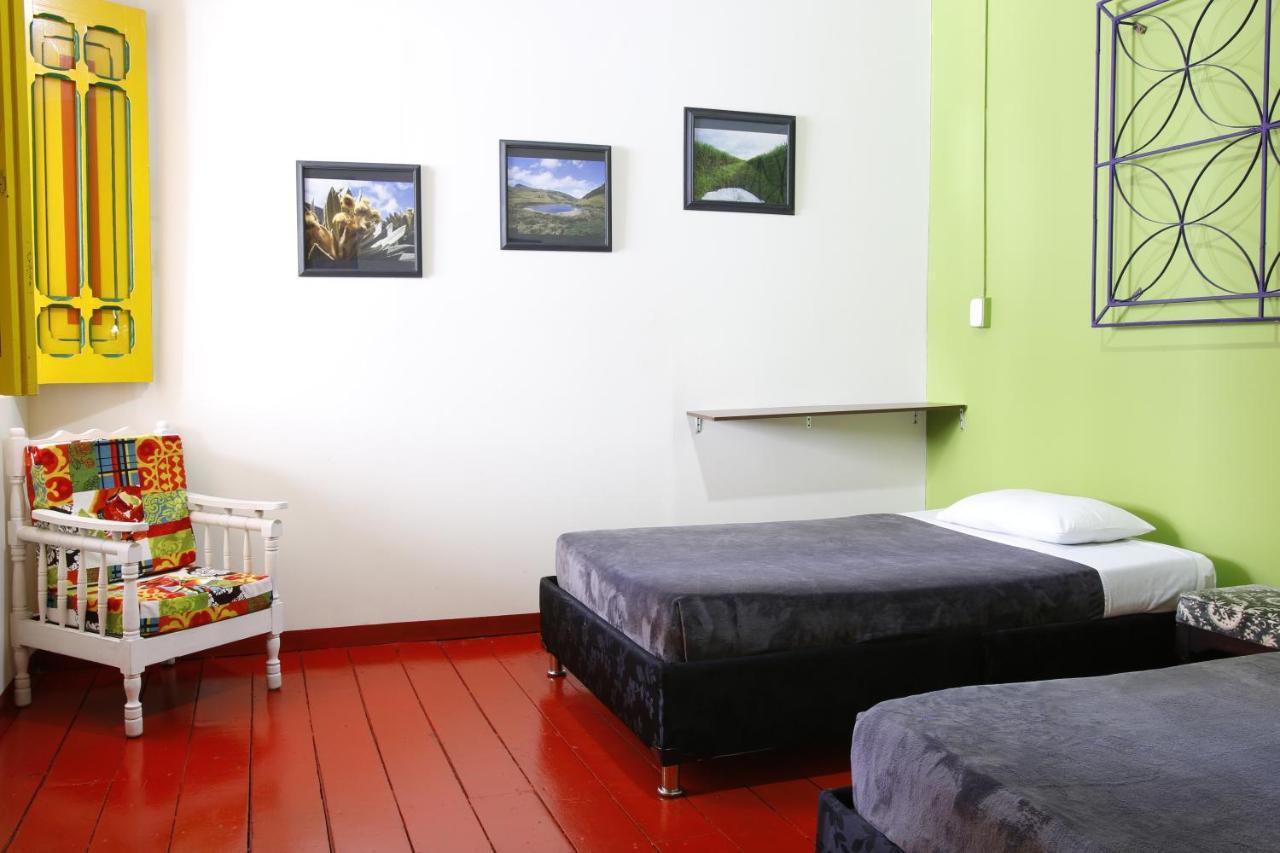 Hostel Golden Frog