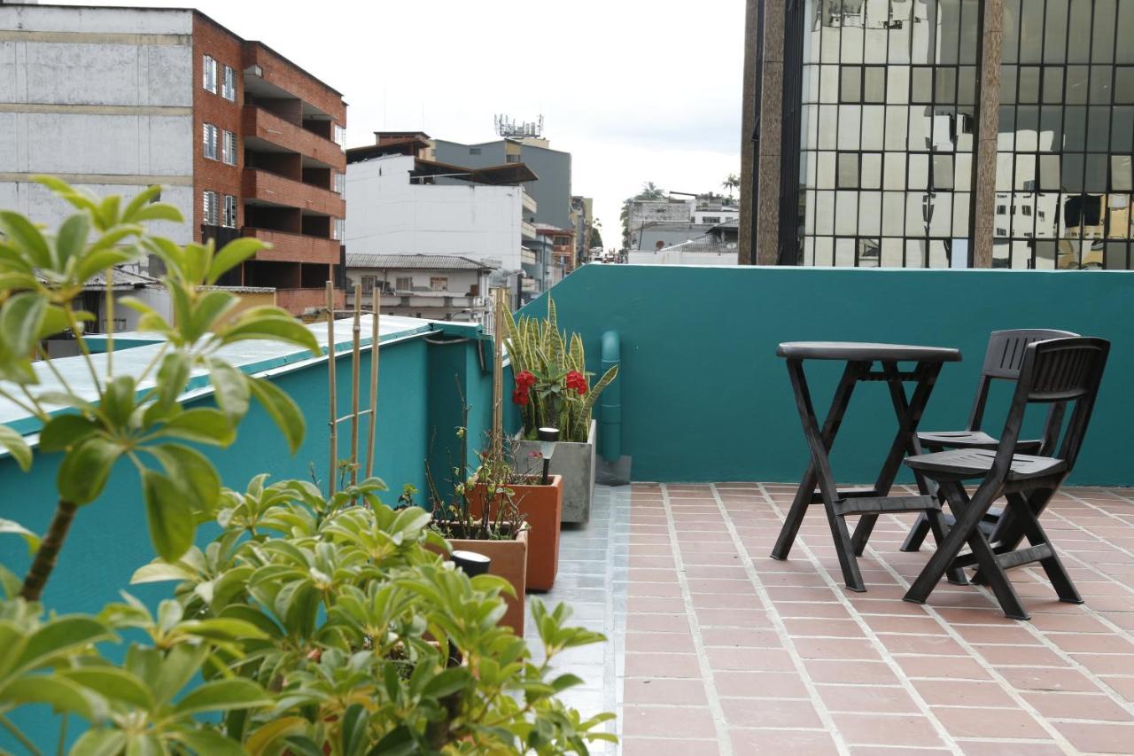 Hostel Golden Frog