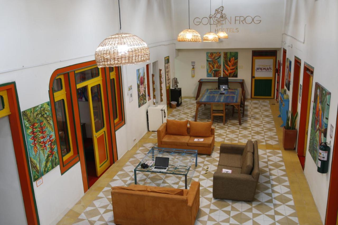 Hostel Golden Frog Manizales