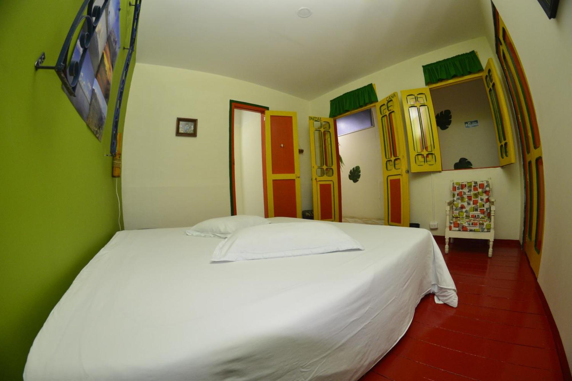 Hostel Golden Frog *