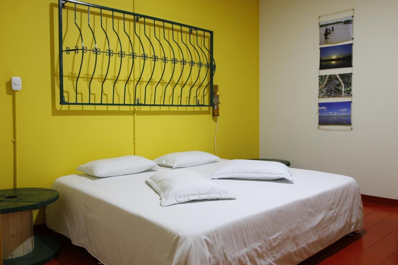 Golden Frog Hostal *