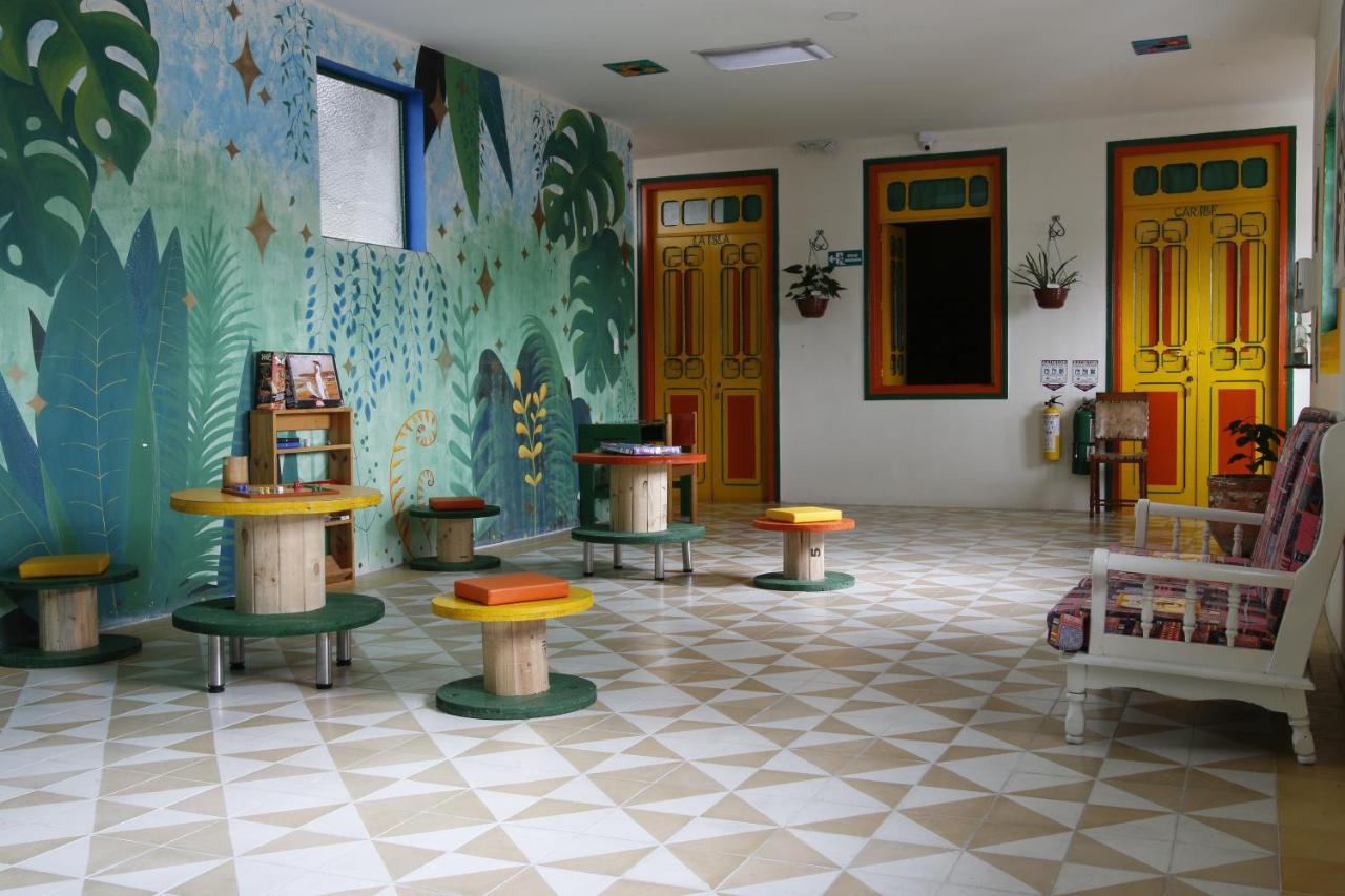 Golden Frog Hostal