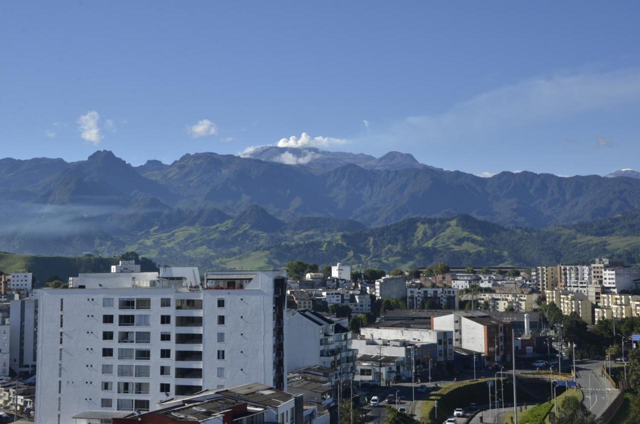Golden Frog Manizales