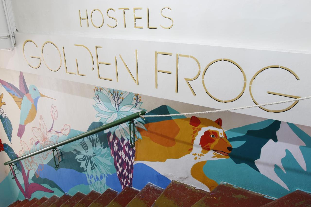Hostal Golden Frog