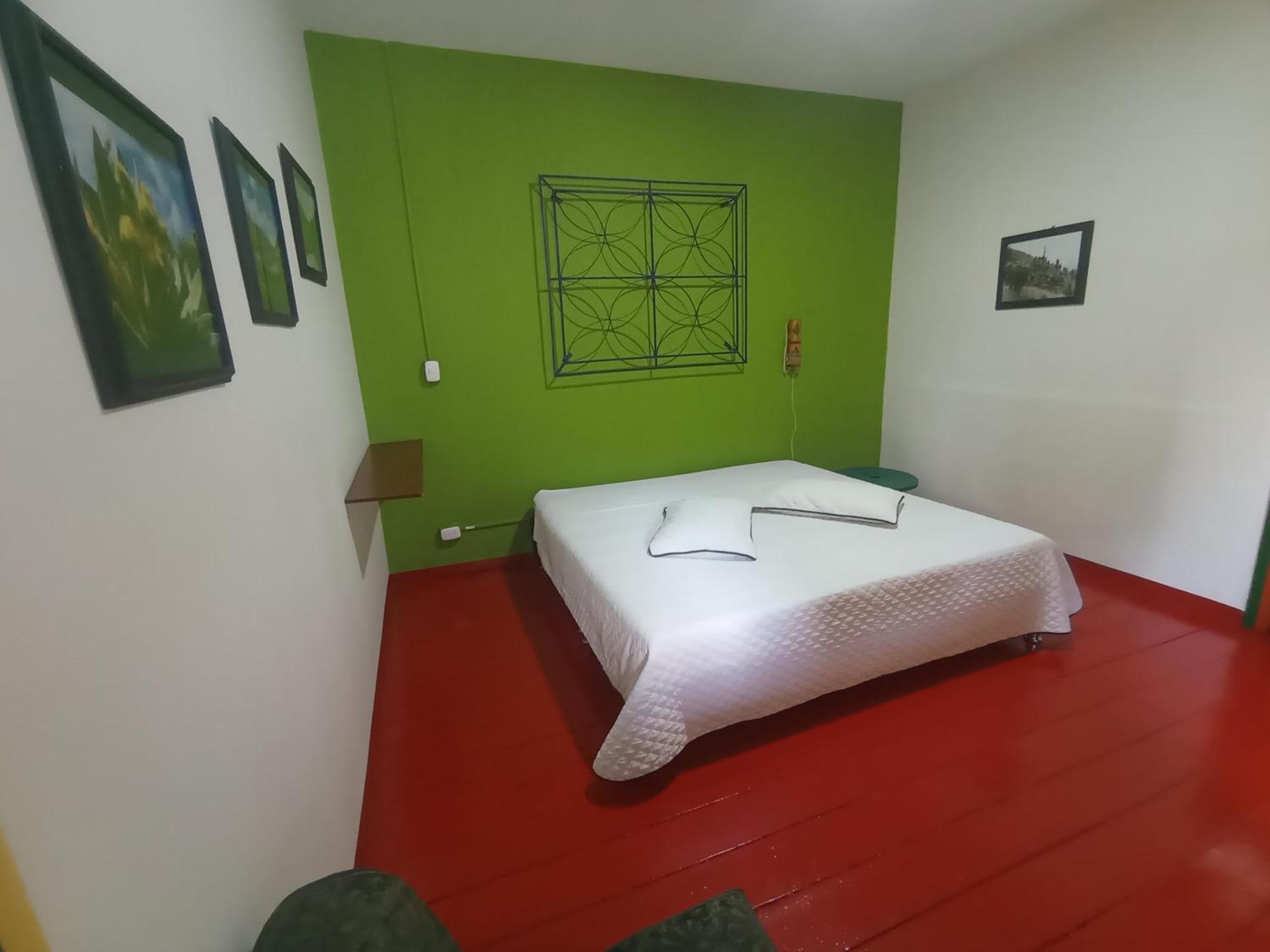 Golden Frog Hostal