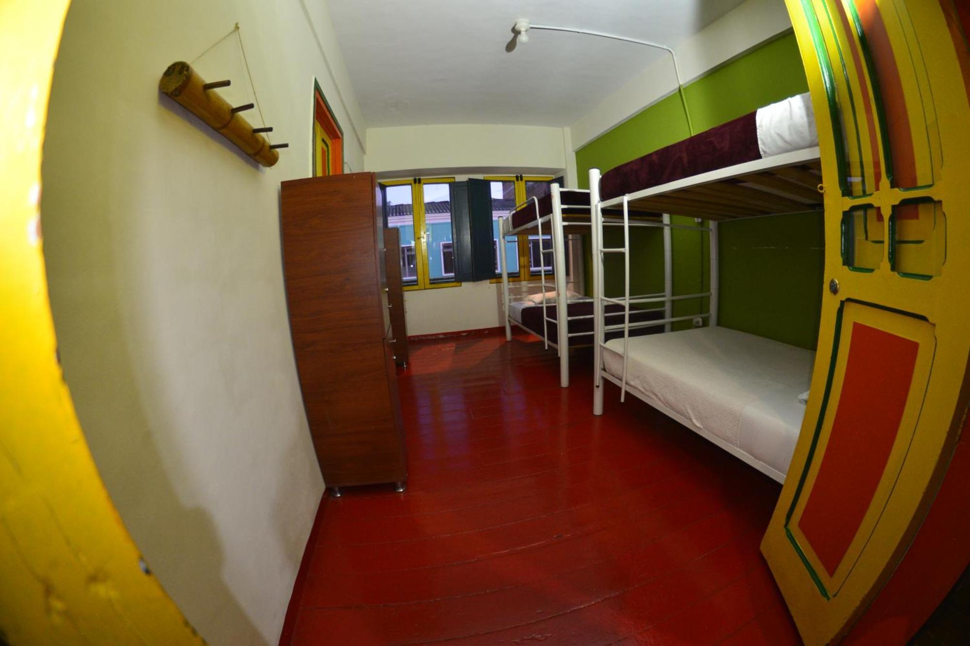 Golden Frog Hostal